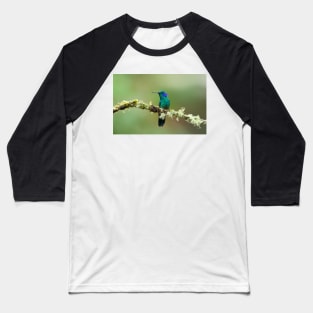 Green Violetear Hummingbird - Costa Rica Baseball T-Shirt